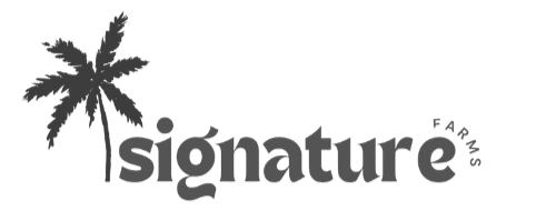 The signature Logo